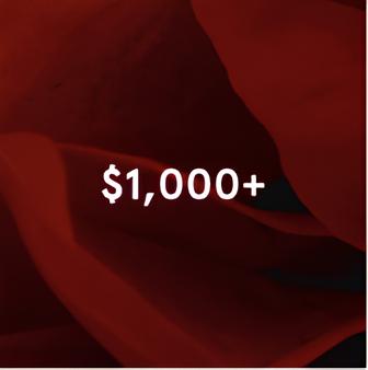 $1000+ 
