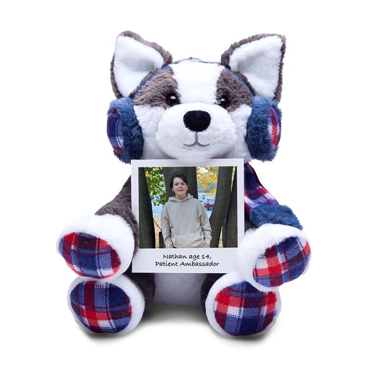 Bear Buddy Fundraising