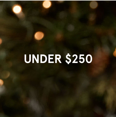 Gifts Under $250