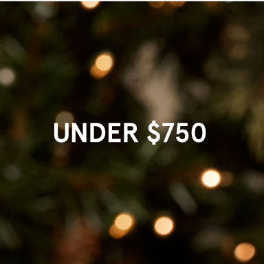 Gifts Under $750