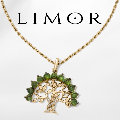 SHOP LIMOR