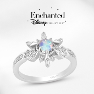 Enchanted Disney