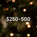 $250-$500