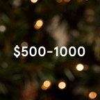 $500-$1,000