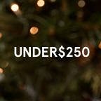 Gifts Under $250