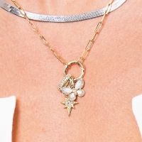 CHARMS